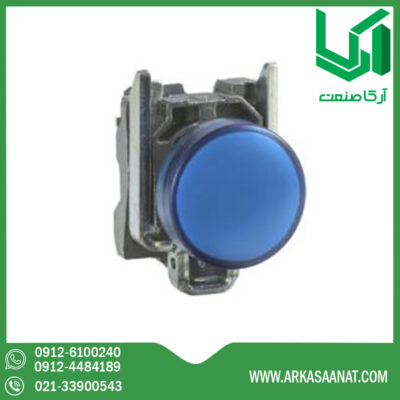 نماینده پوش باتن فلزی آبی اشنایدر XB4BA61