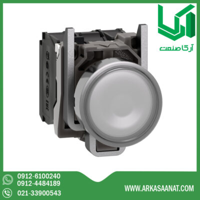 پوش باتن چراغدار فلزی سفید اشنایدر XB4BW31B5