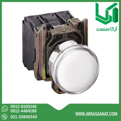 پوش باتن فلزی سفید اشنایدر XB4BW3165