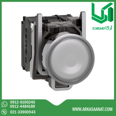 قیمت پوش باتن فلزی اشنایدر XB4BW31M5