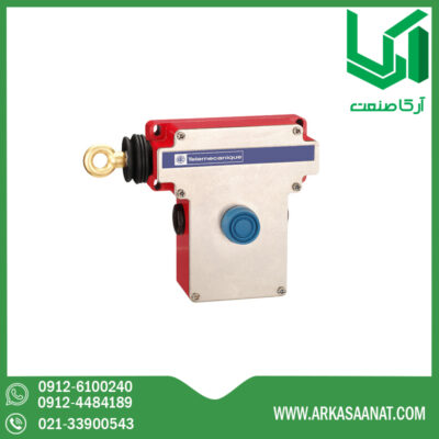 میکروسوئیچ اشنایدر XY2CE2A250